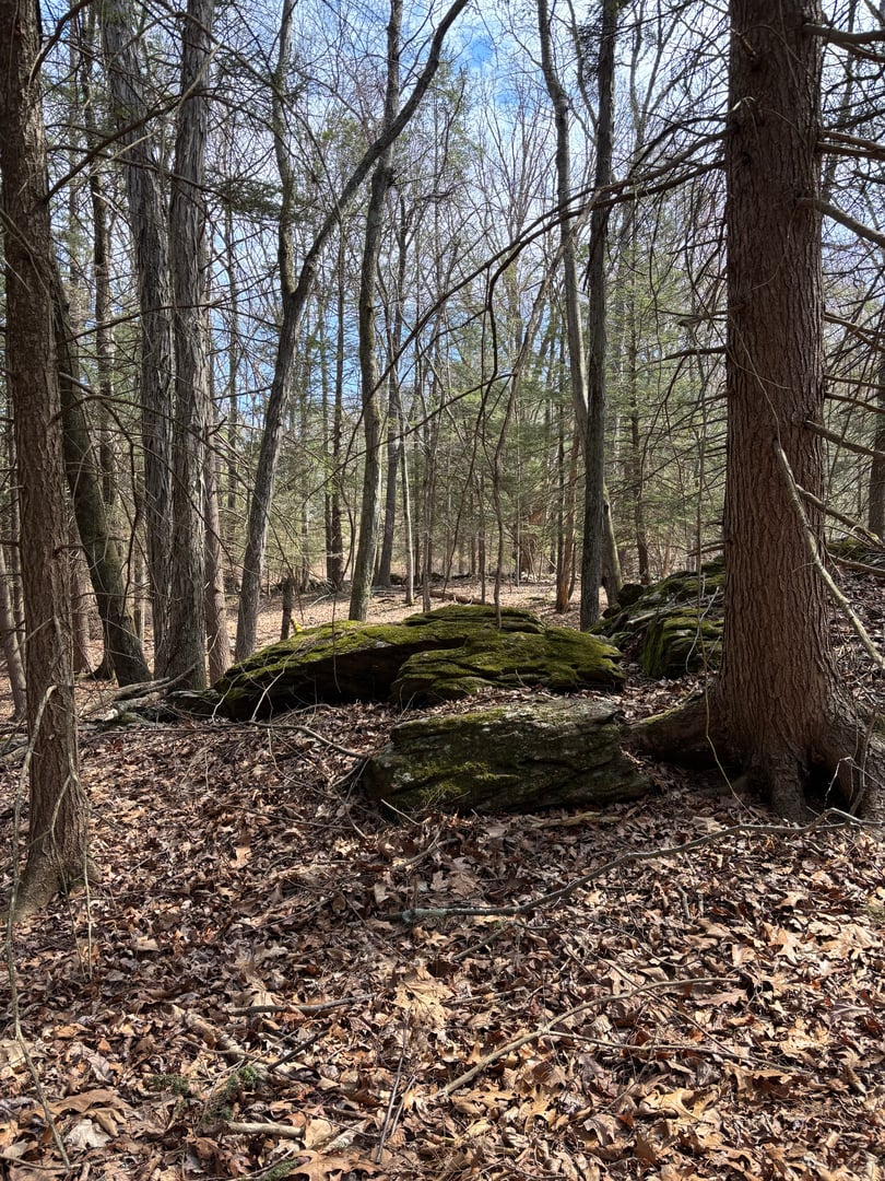 Lot 4 Chalybes Road West Photo 5