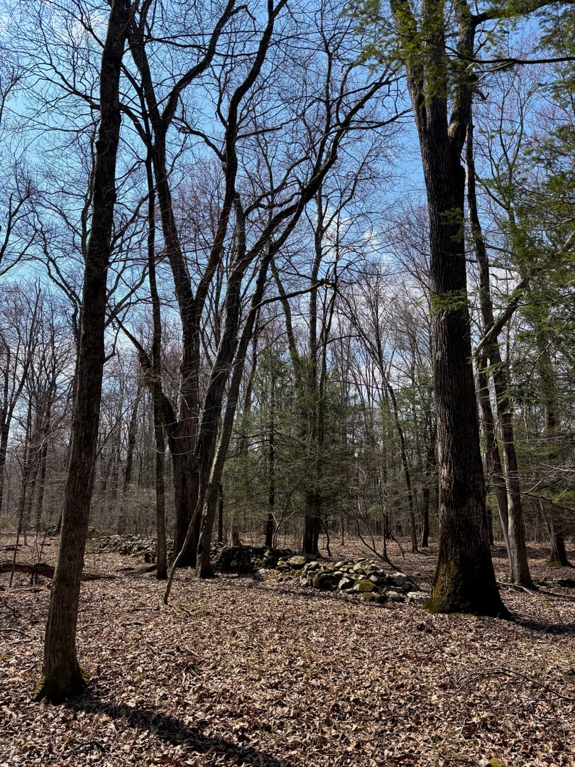 Lot 4 Chalybes Road West Photo 7