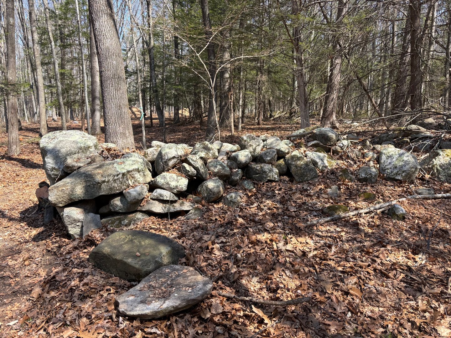 Lot 4 Chalybes Road West Photo 3