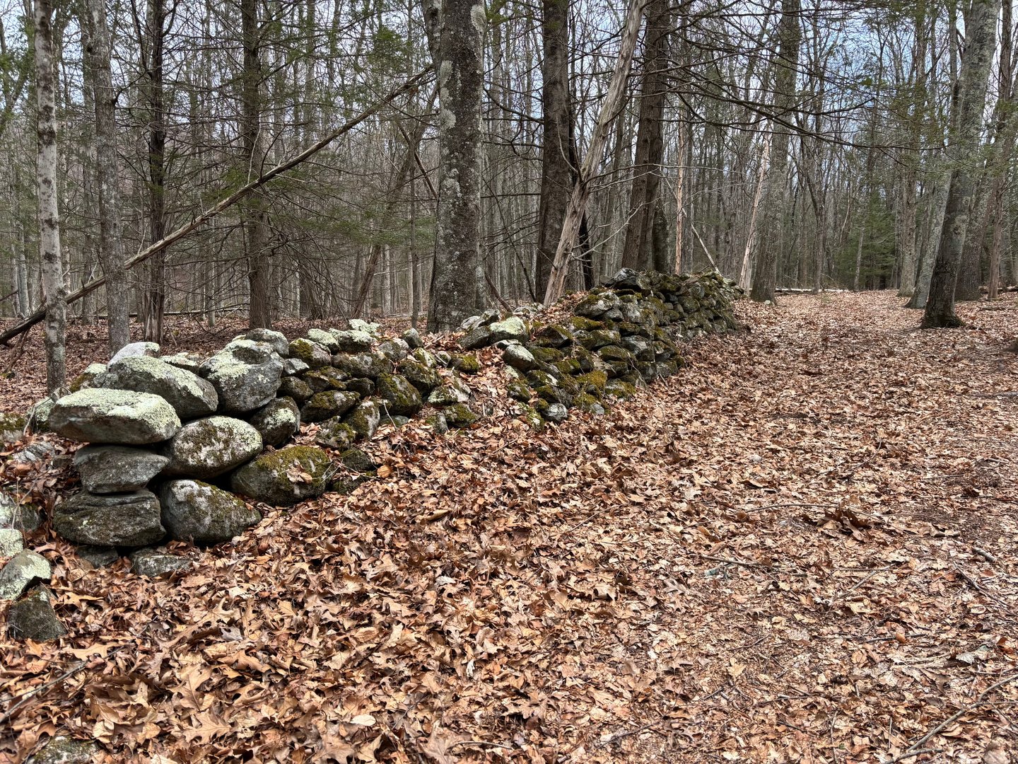 Lot 4 Chalybes Road West Photo 11