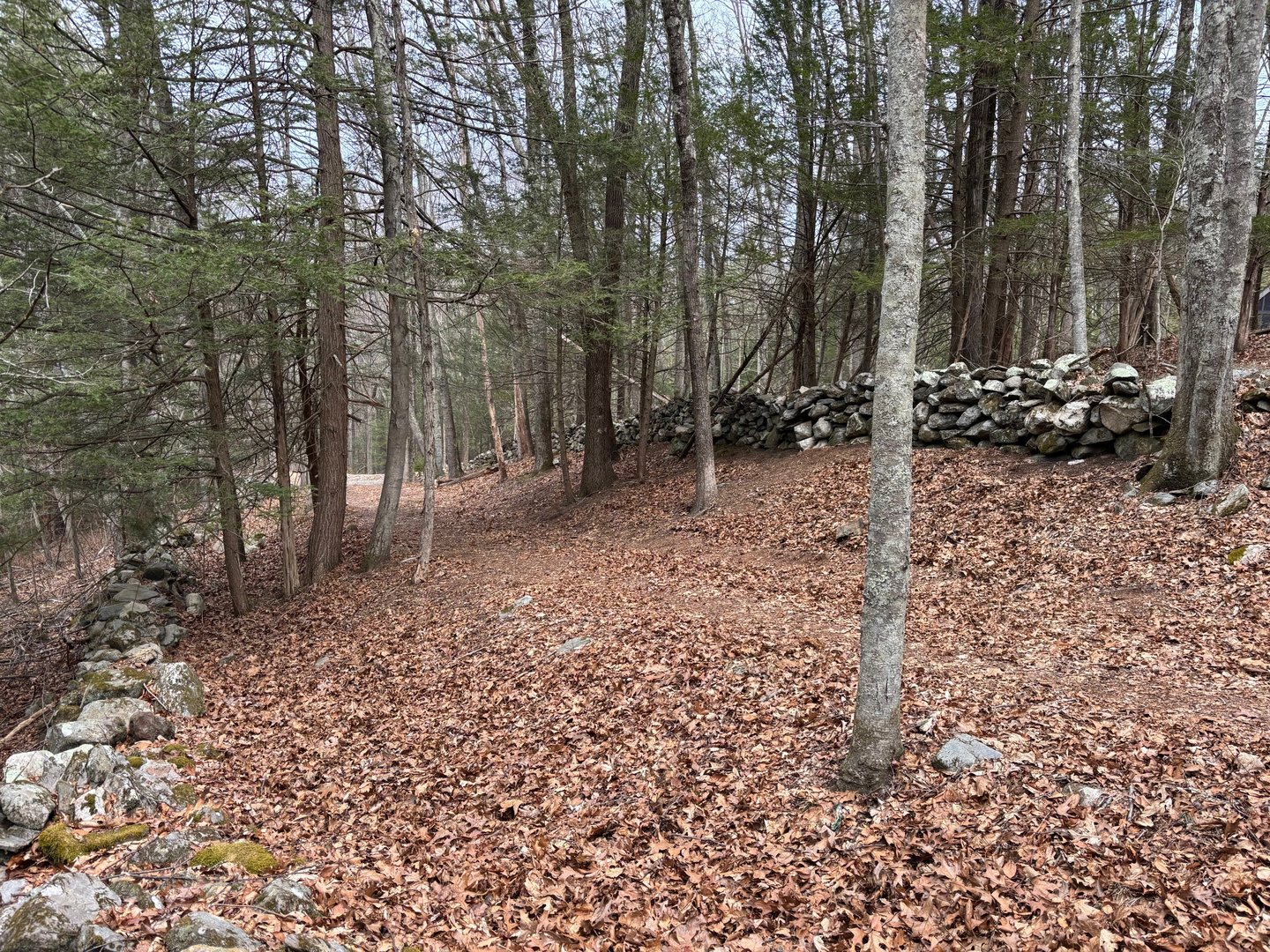 Lot 4 Chalybes Road West Photo 12