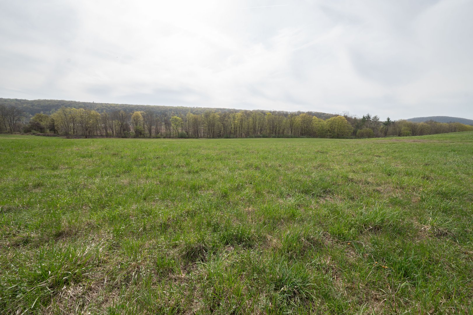 45 Old Pumpkin Hill Road Photo 17