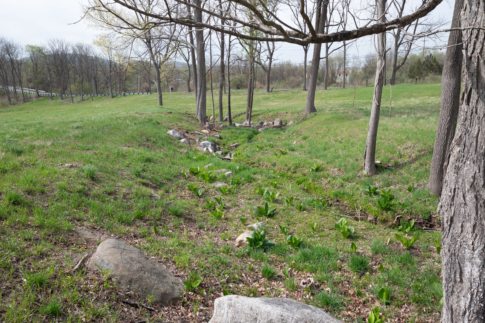 45 Old Pumpkin Hill Road Photo 18