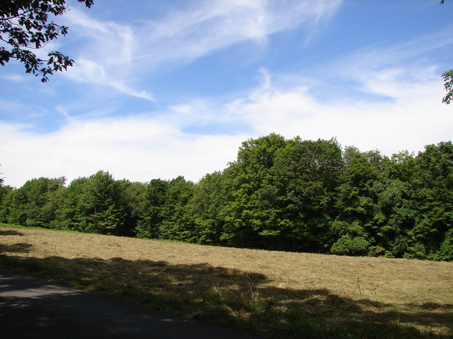 Lot 5 Milton Road Photo 3