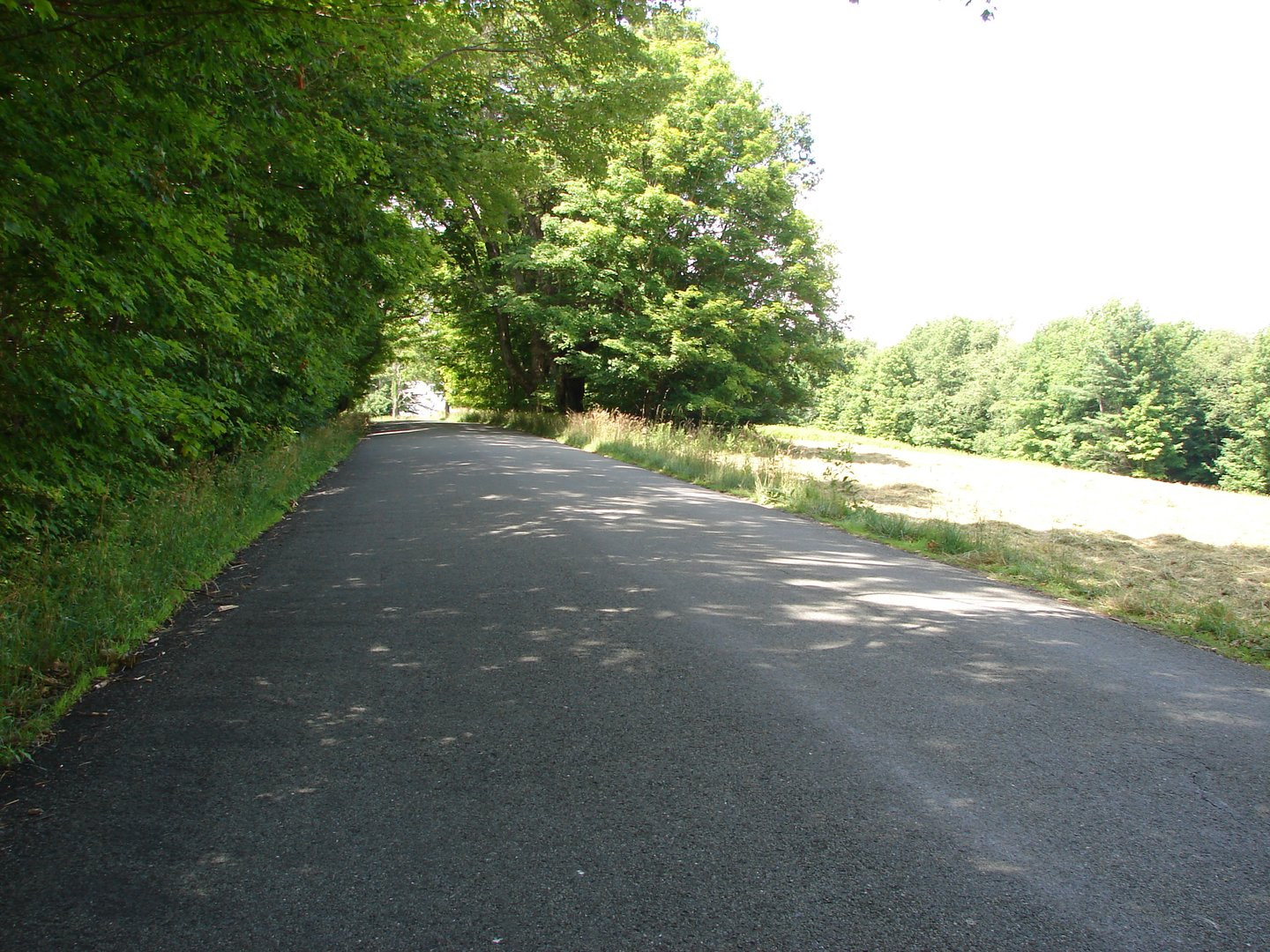 Lot 5 Milton Road Photo 6