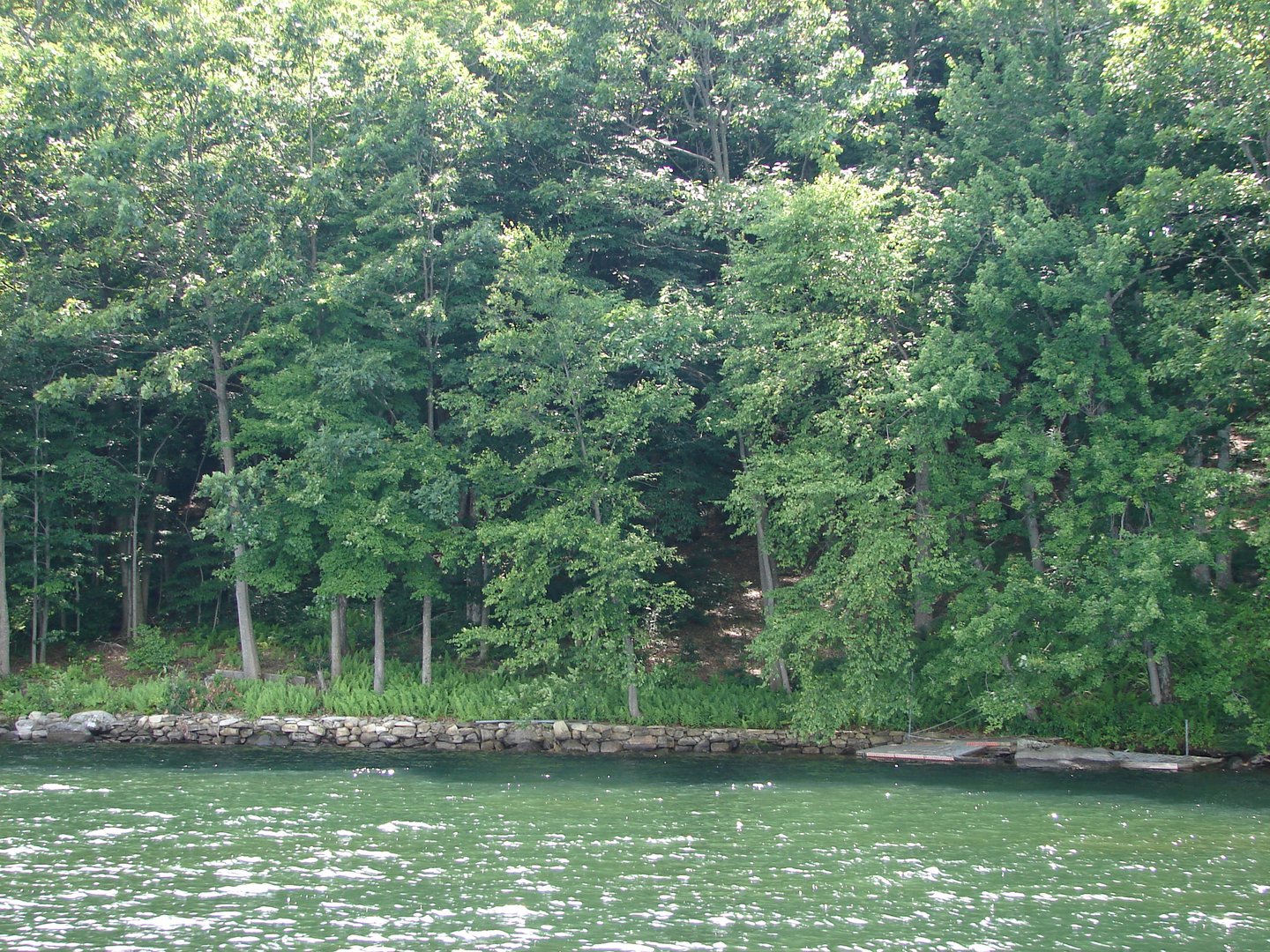 Lot 5 Milton Road Photo 9