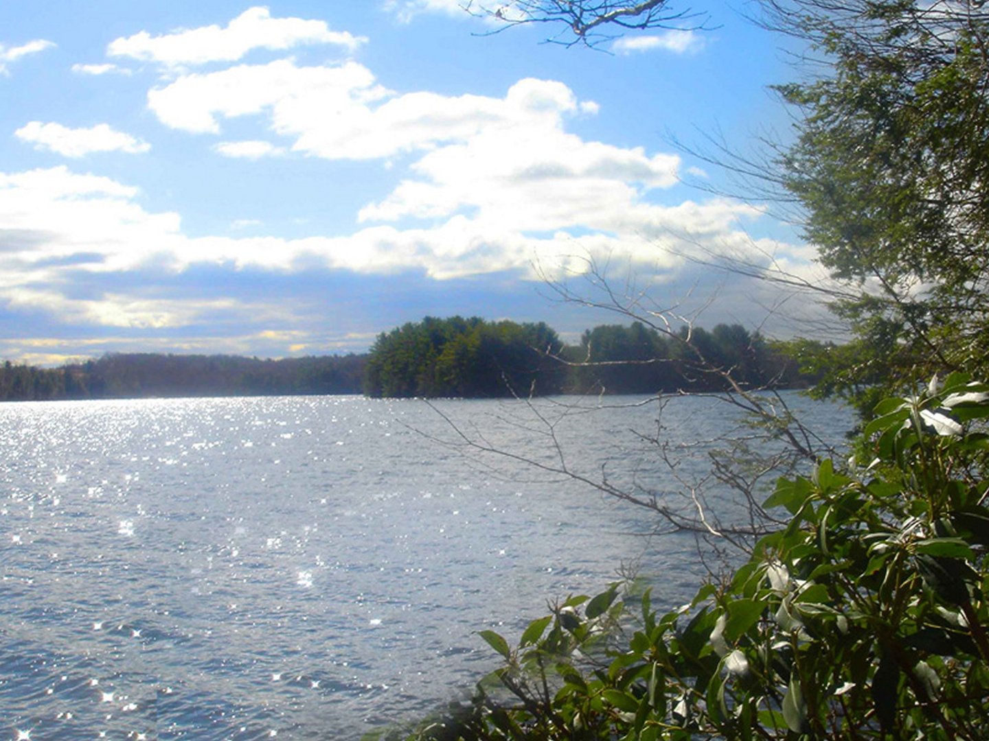 Lot 5 Milton Road Photo 1