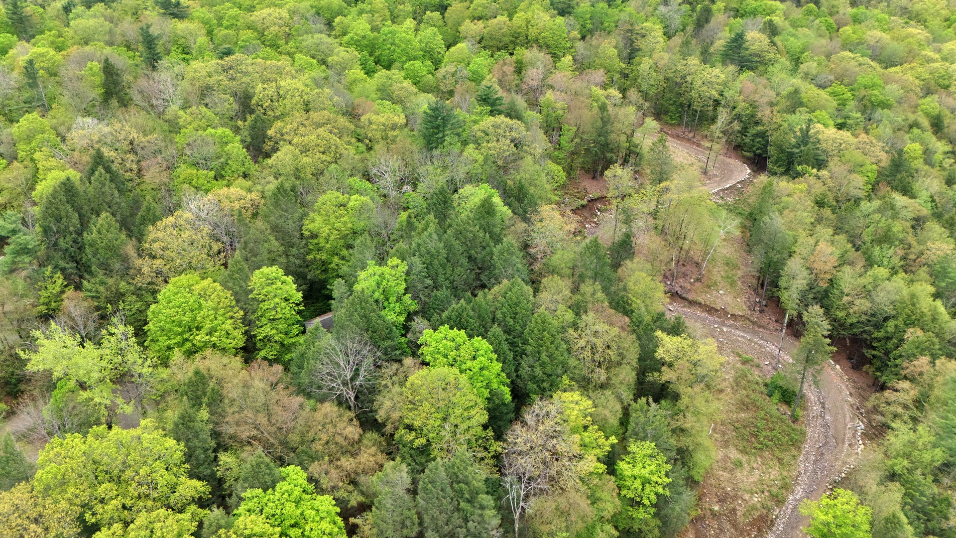 32 S Main Rd Photo 17