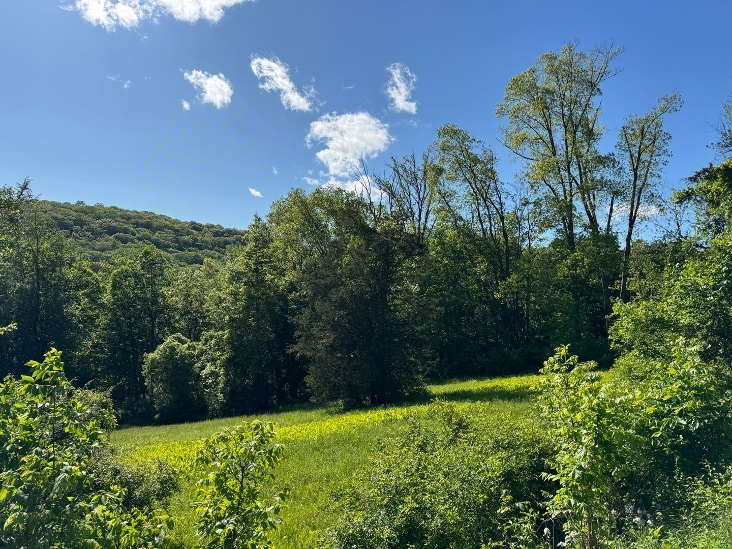 Rte 39 South, State Route Photo 3