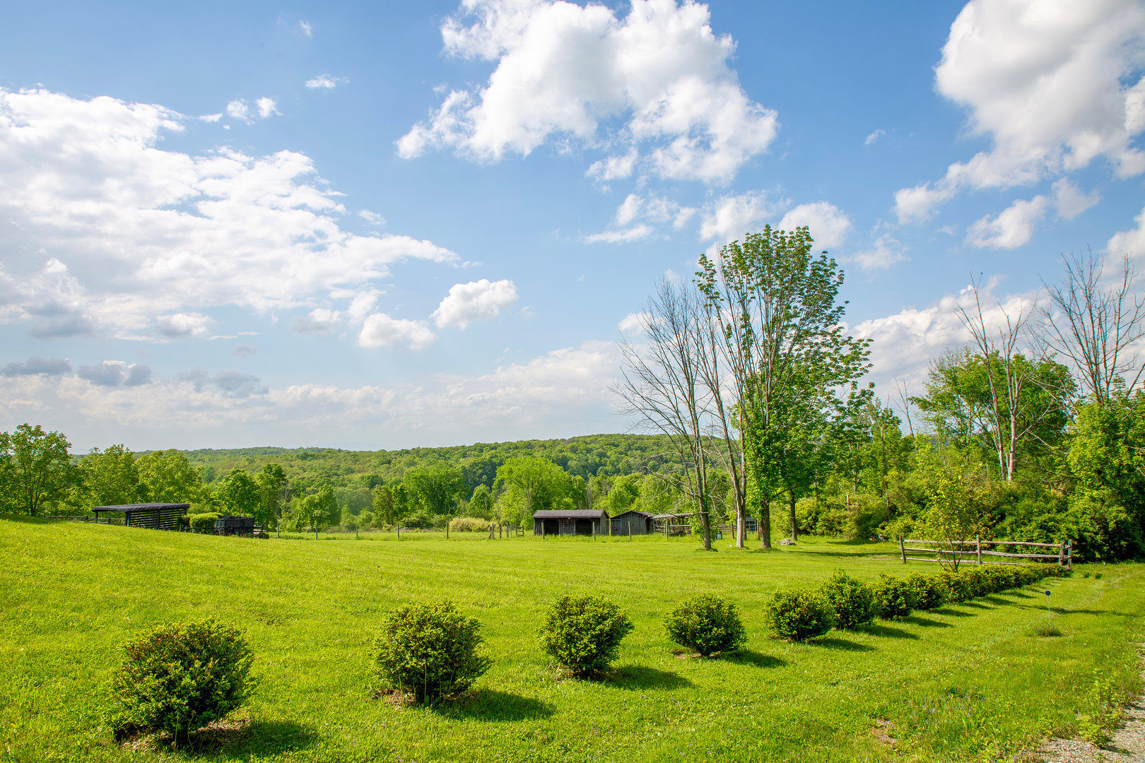 20 Orchard Hill Drive Photo 3