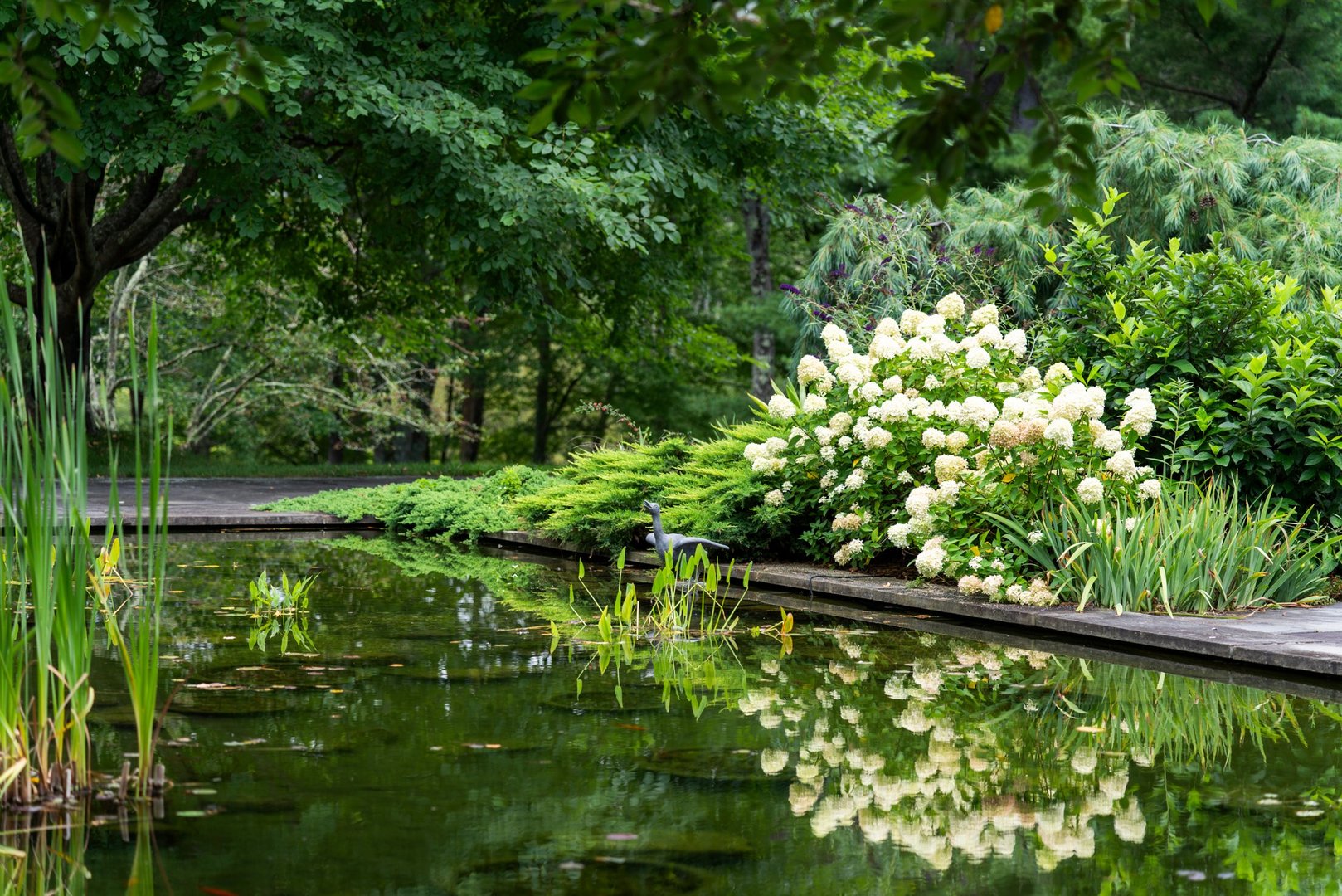 77 Seekonk Cross Rd Photo 55