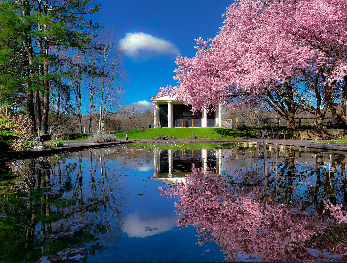 77 Seekonk Cross Rd Photo 52