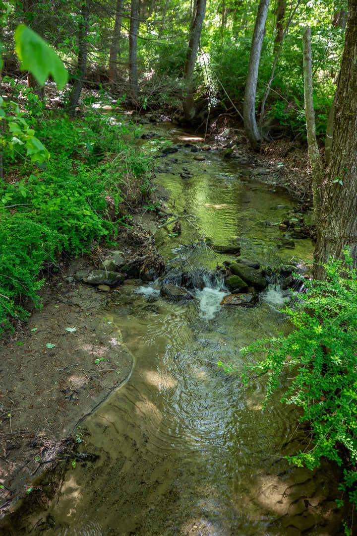 286 South Street Photo 4