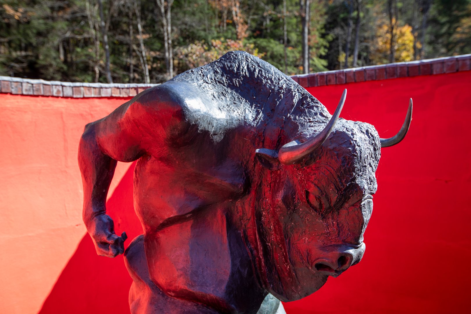 390 Erpf Road Photo 11