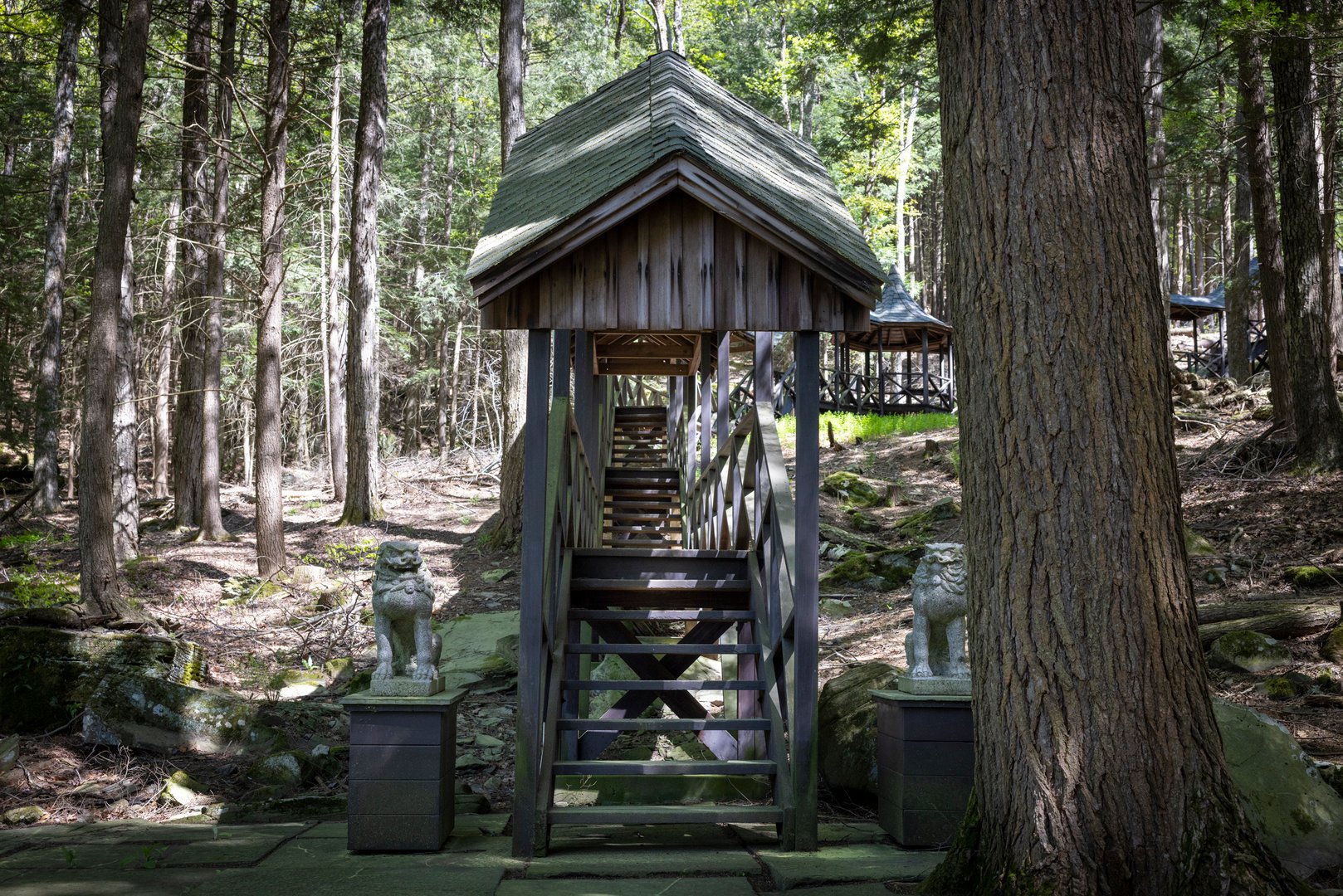 390 Erpf Road Photo 47