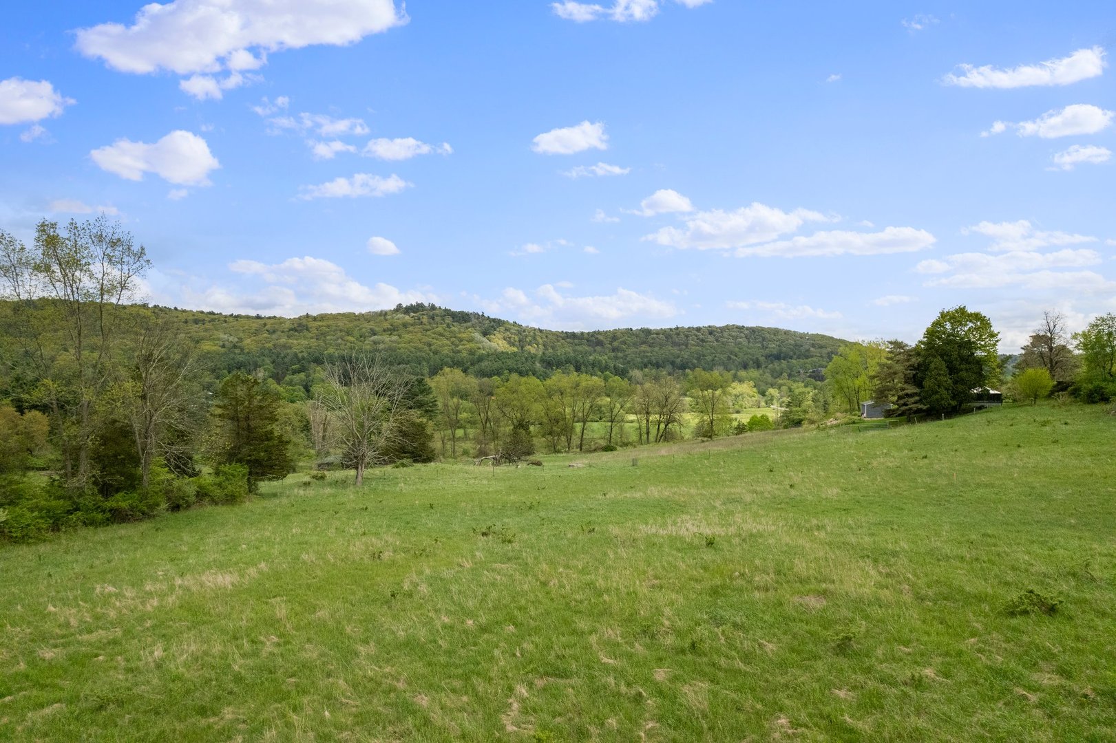 278 And 282 Farnum Road Photo 12