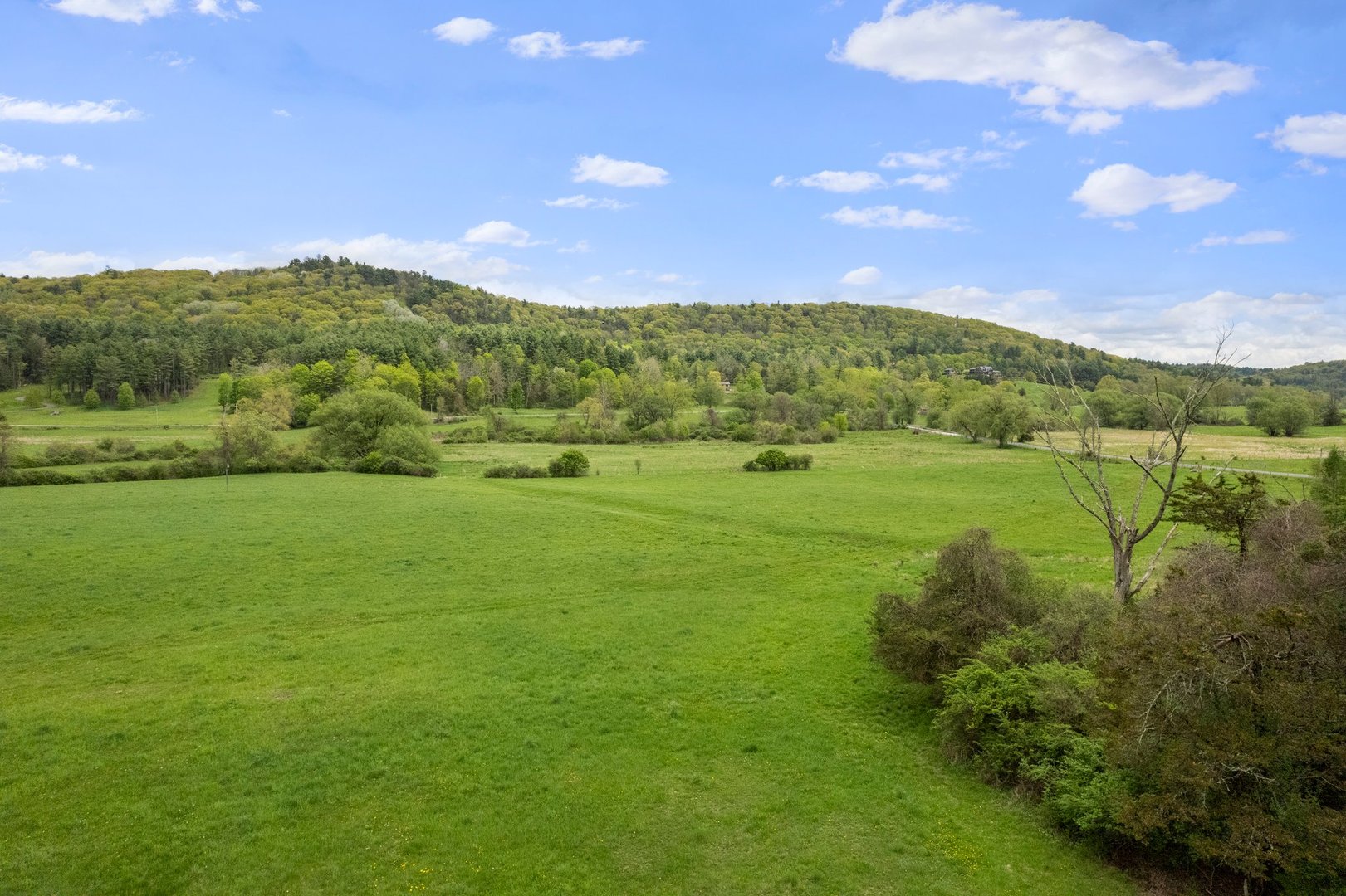 278 And 282 Farnum Road Photo 13