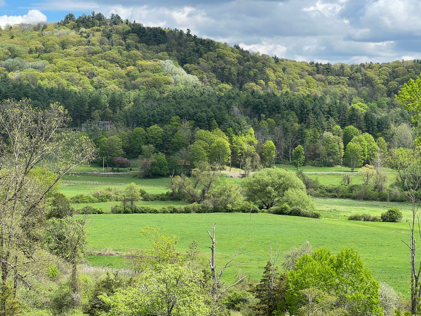 278 And 282 Farnum Road Photo 5