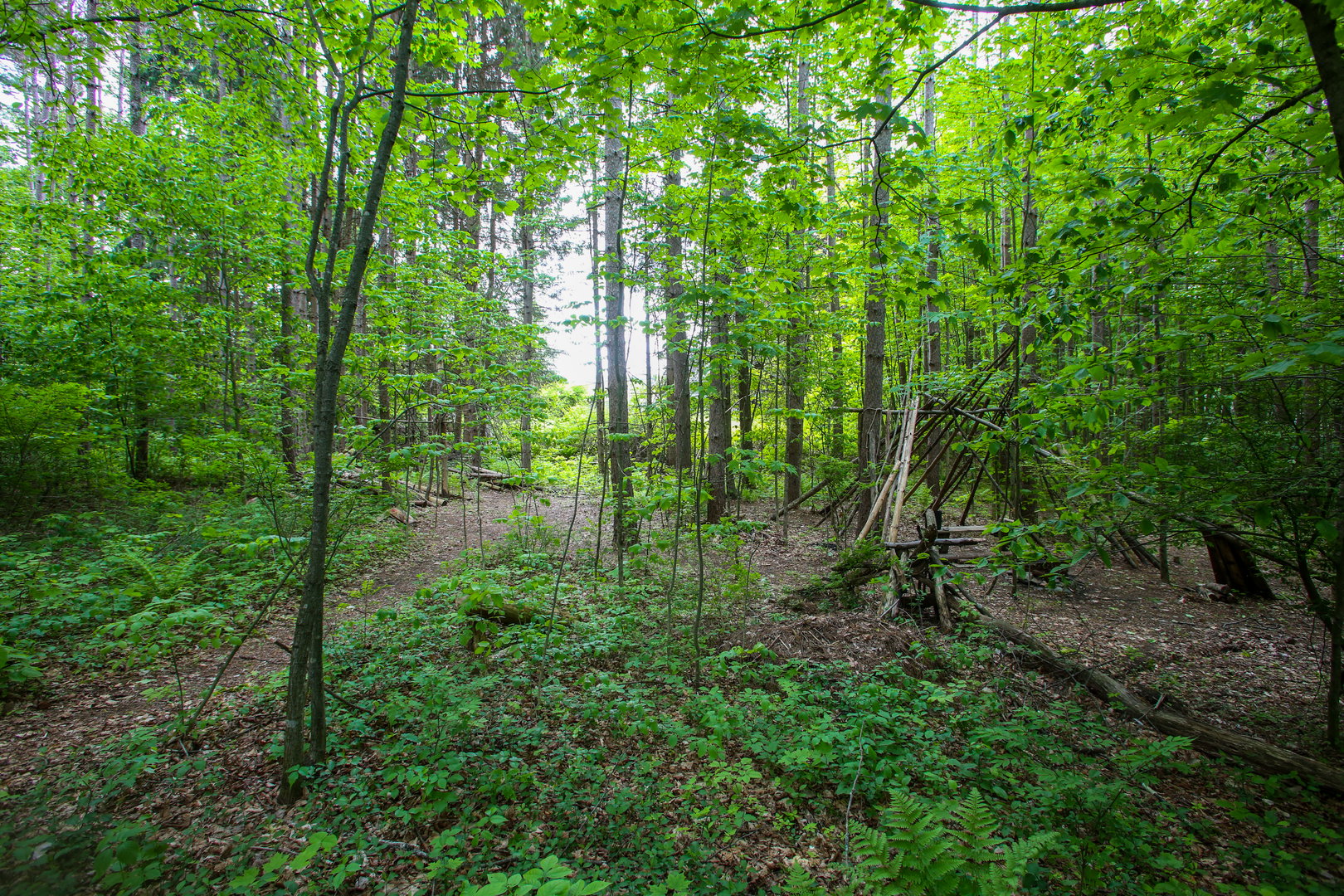 31 Oxbow Rd Photo 21