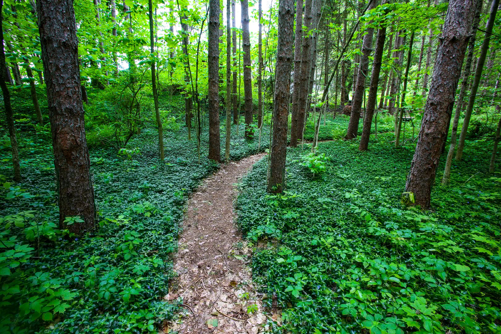 31 Oxbow Rd Photo 23