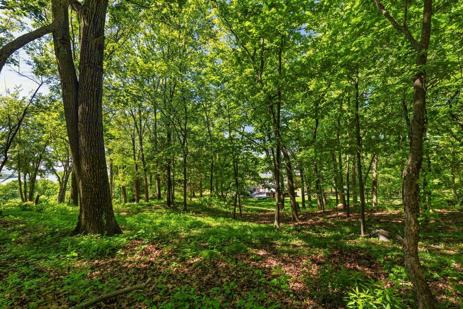 8 Prickly Pear Hill Road Photo 2