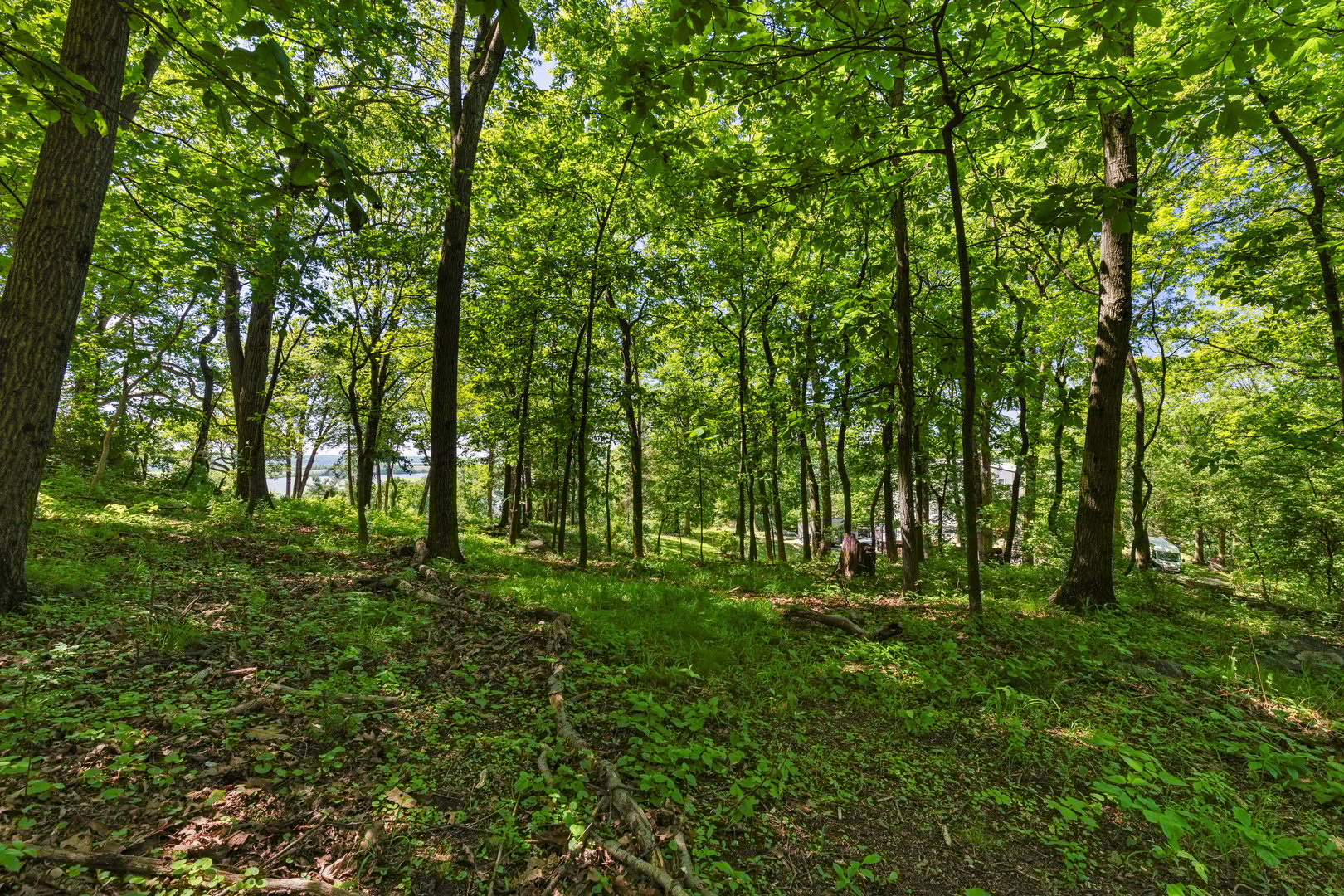 8 Prickly Pear Hill Road Photo 3