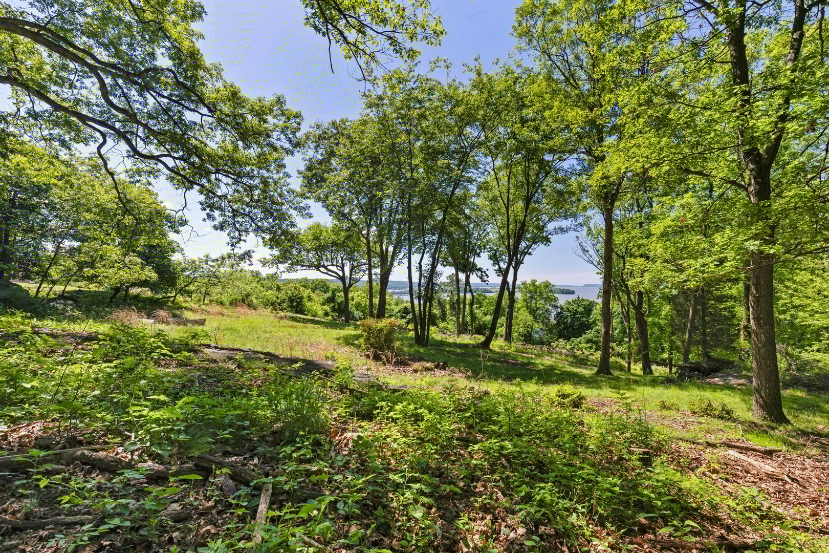 8 Prickly Pear Hill Road Photo 5