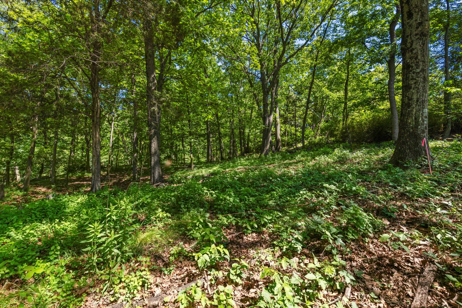 8 Prickly Pear Hill Road Photo 6