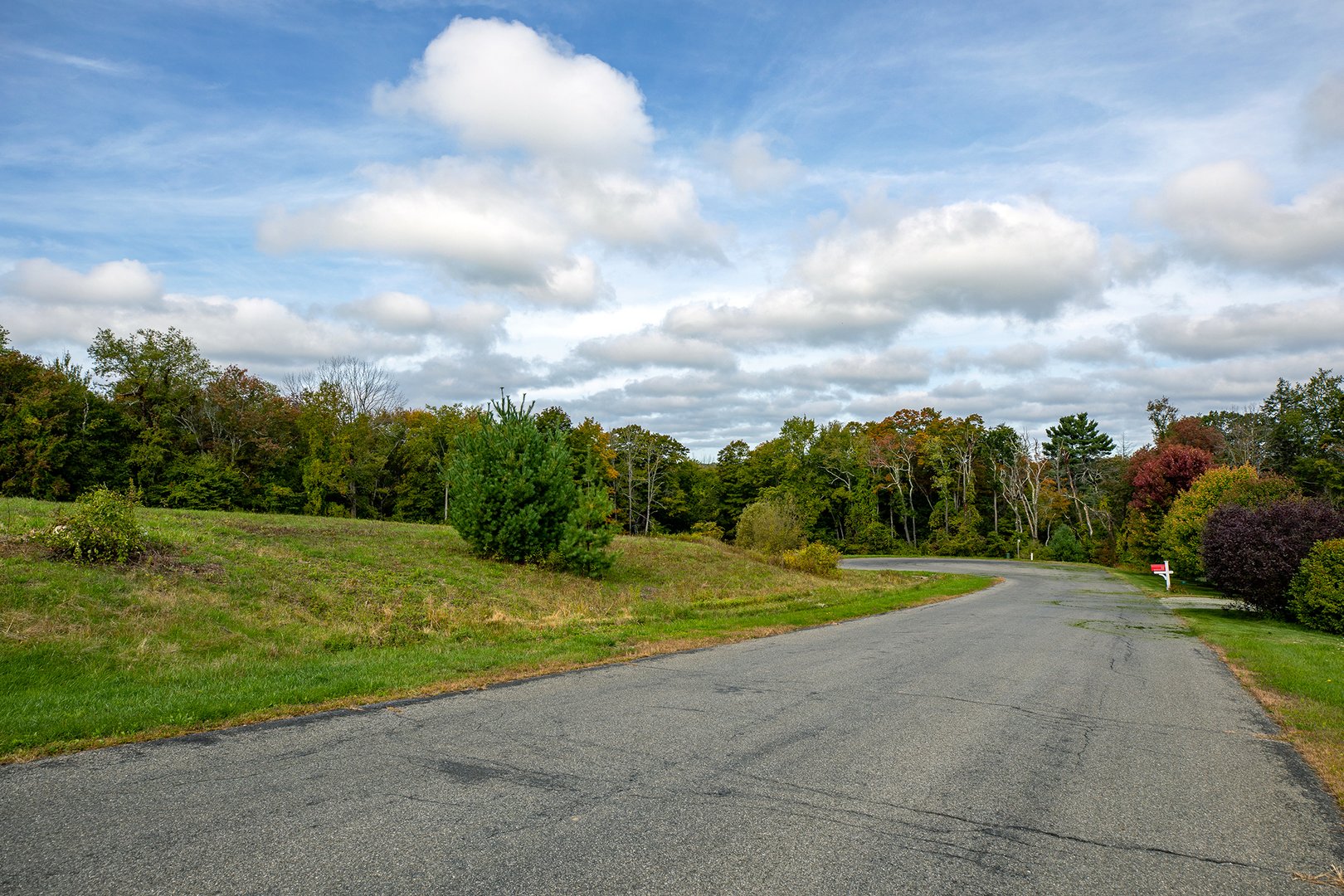 14 Meadowcrest Drive North Photo 4