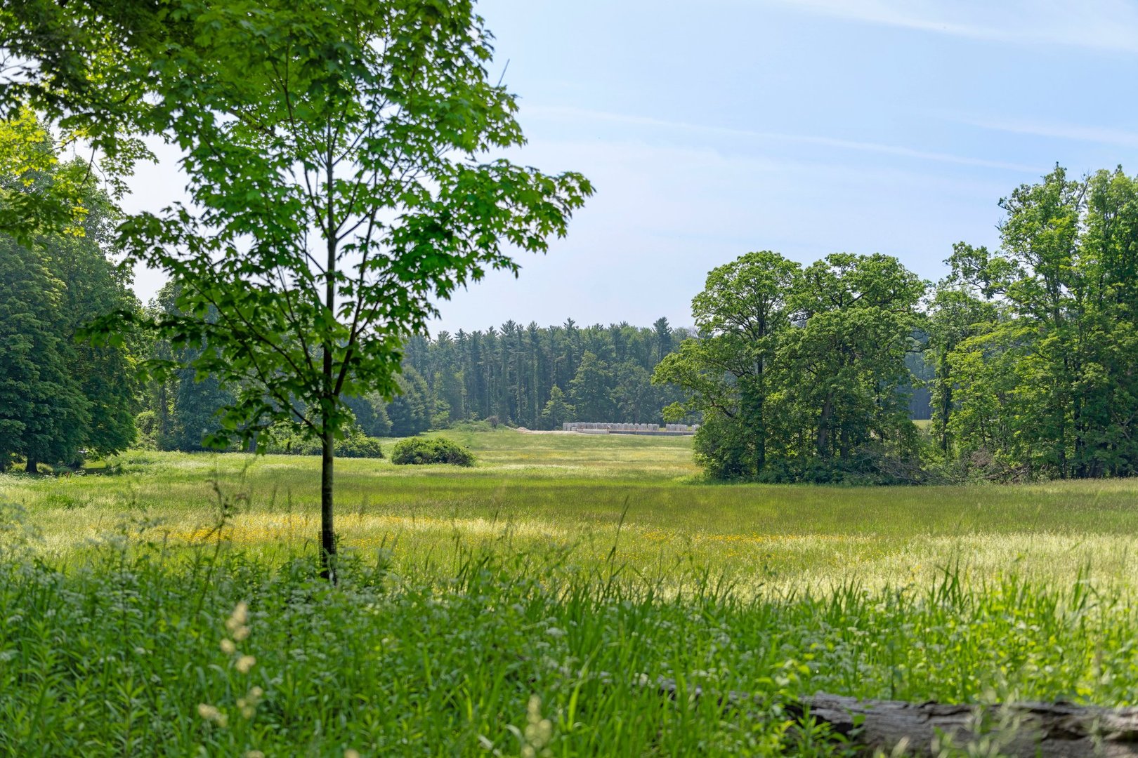 77 Beaver Dam Road Photo 6