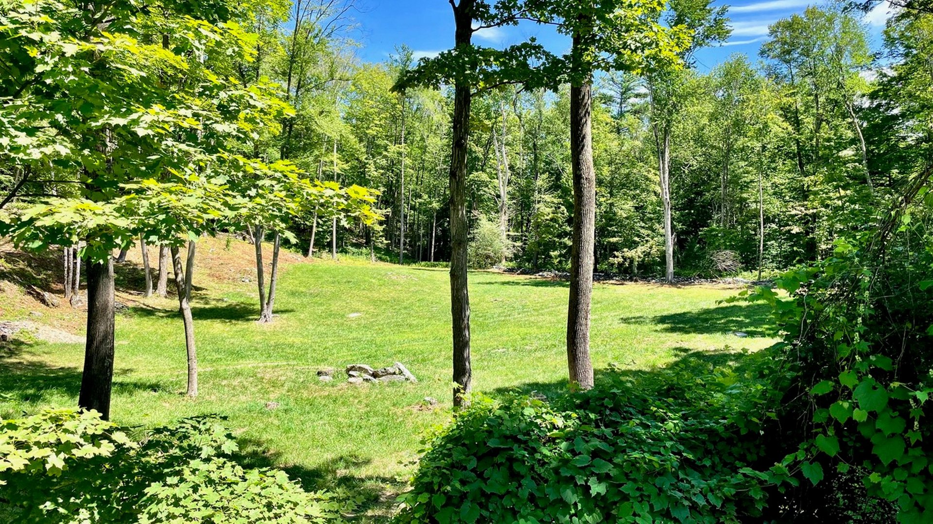 181 W Center Rd Photo 3