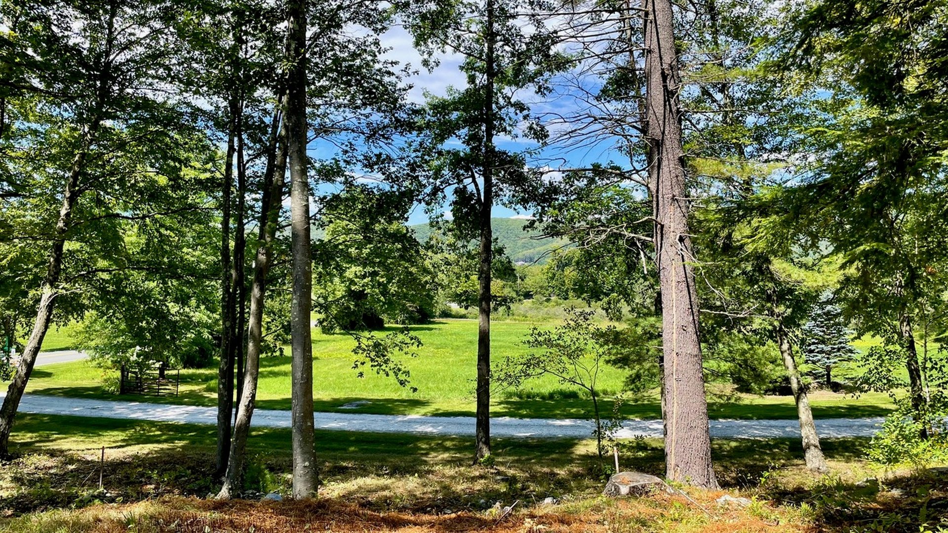 181 W Center Rd Photo 5