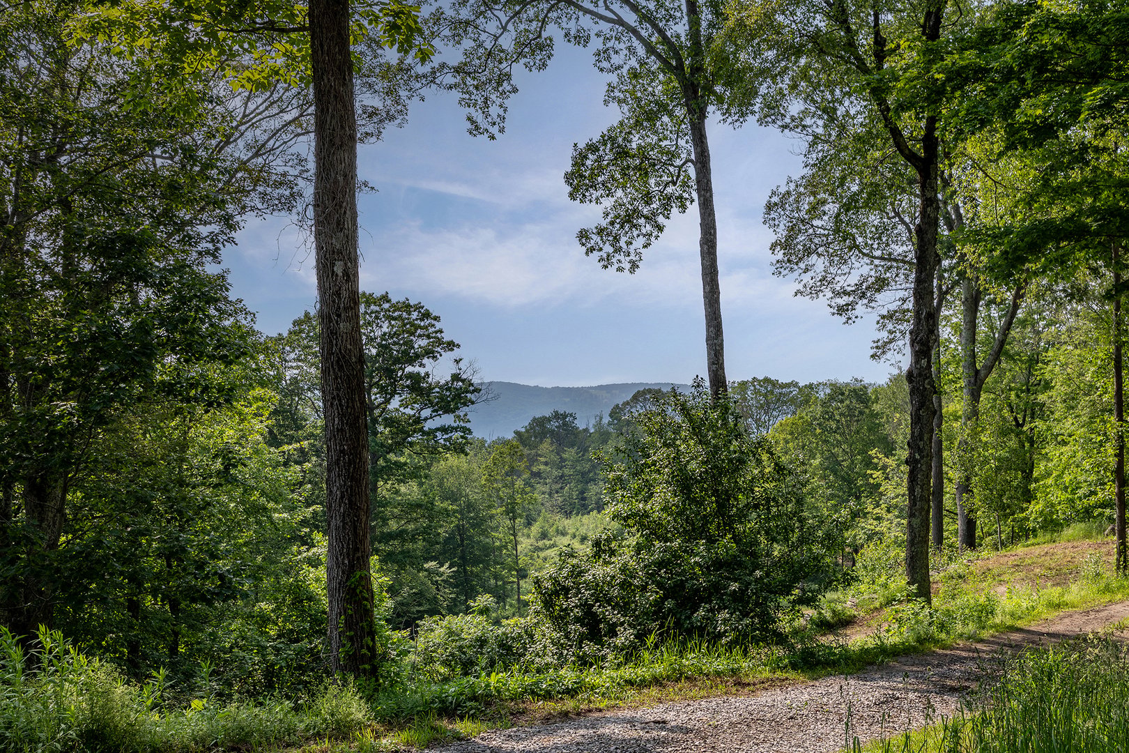 178 Carter Road Photo 5
