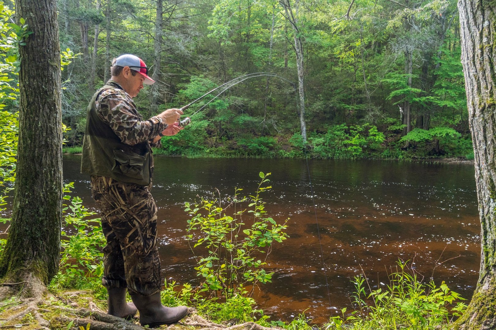 0 South Road Photo 10