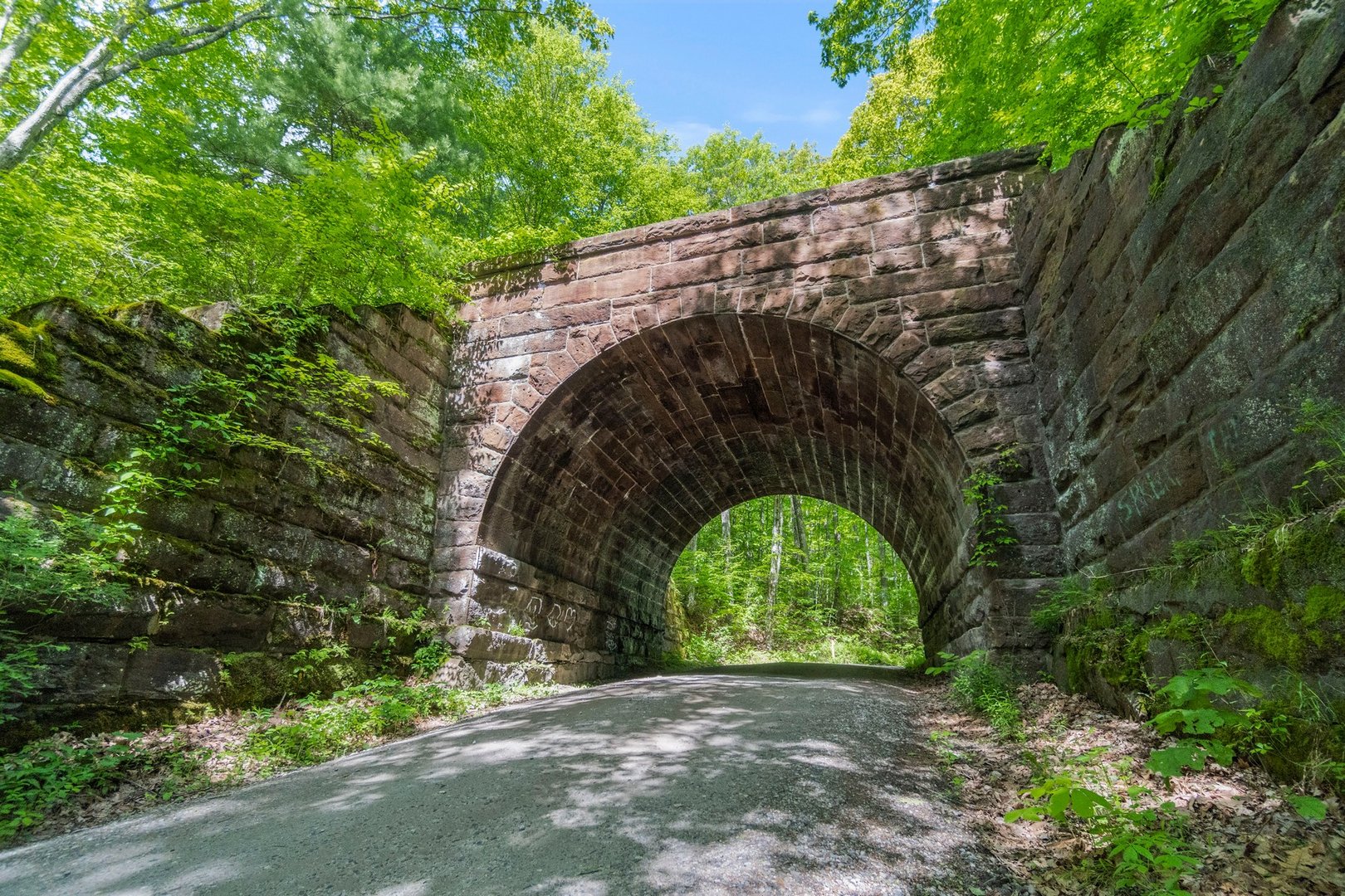 0 South Road Photo 11