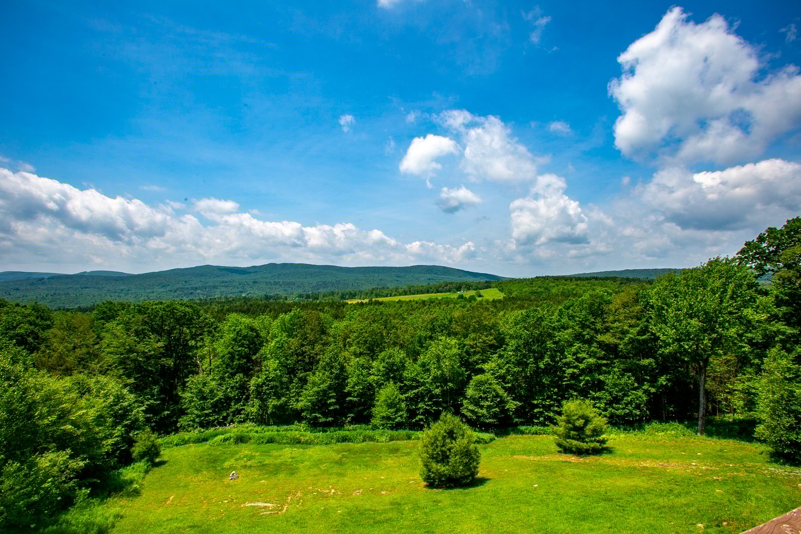 214 Mohawk Trail Photo 28