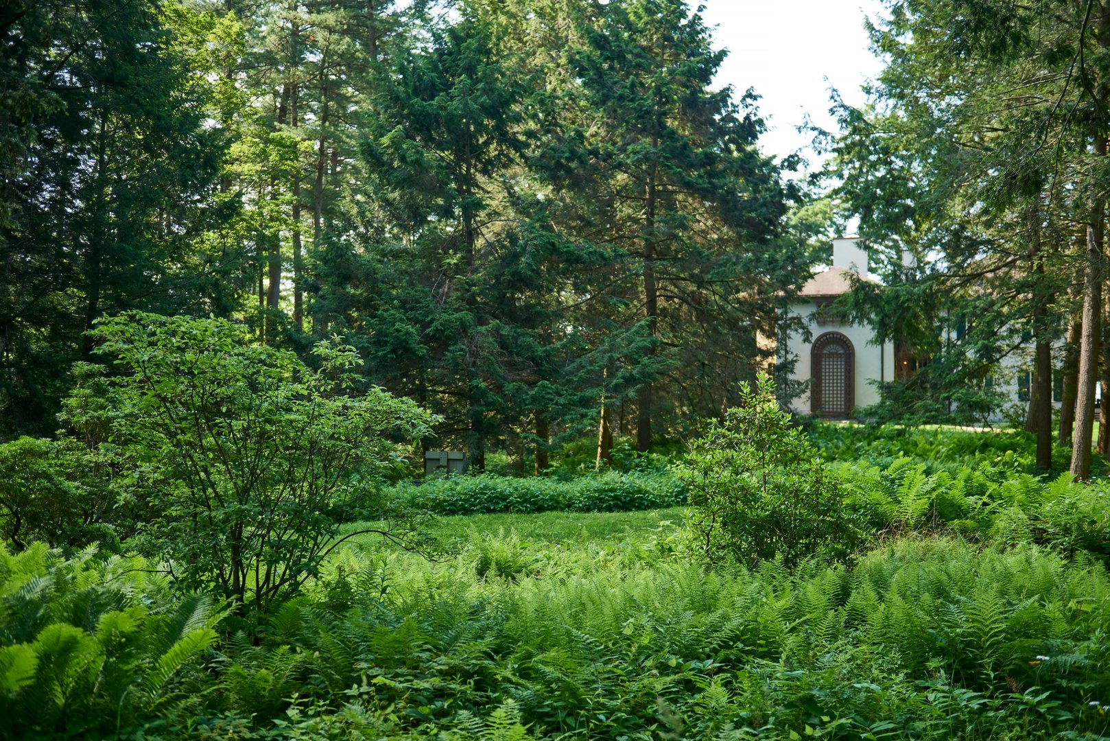 319 Under Mountain Rd Photo 53