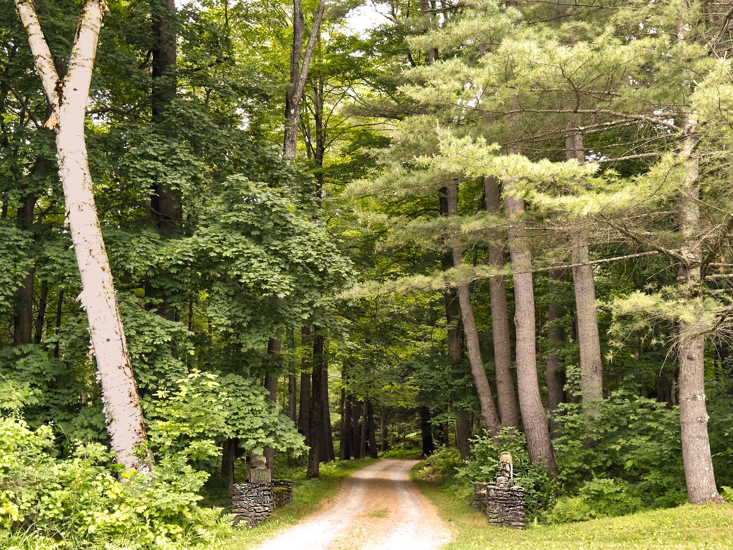 319 Under Mountain Rd Photo 57