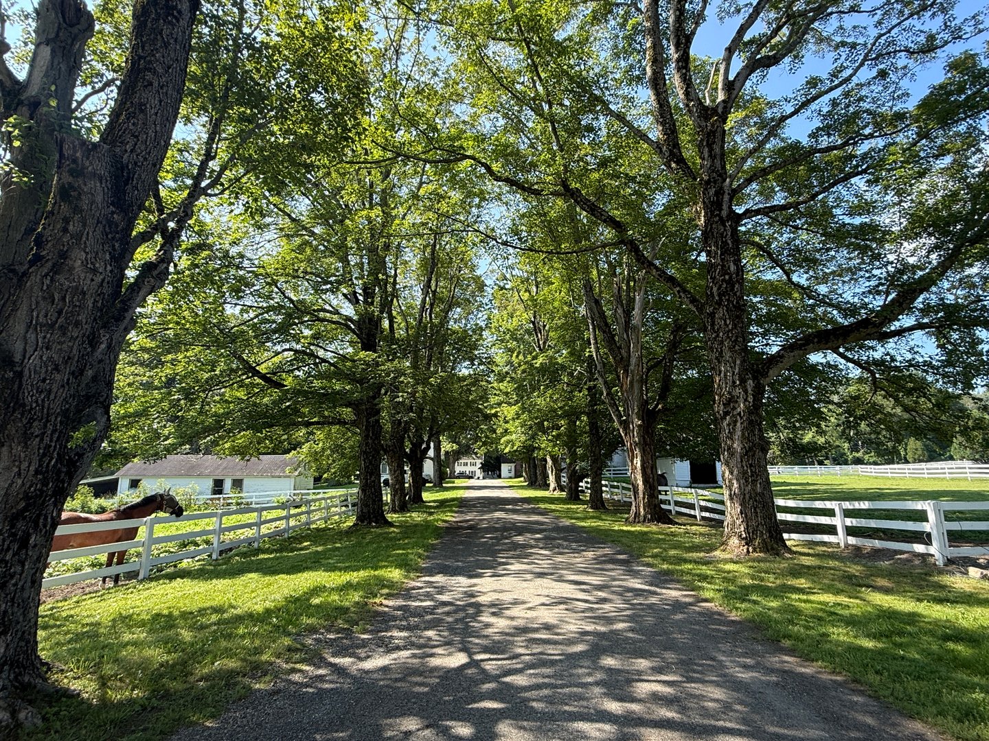 802 State Rd Photo 1