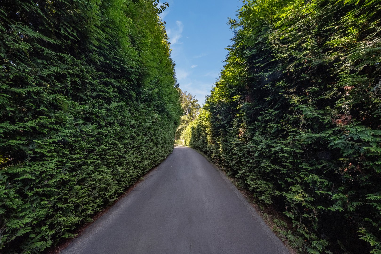 10 Middle Beach Road West Photo 3