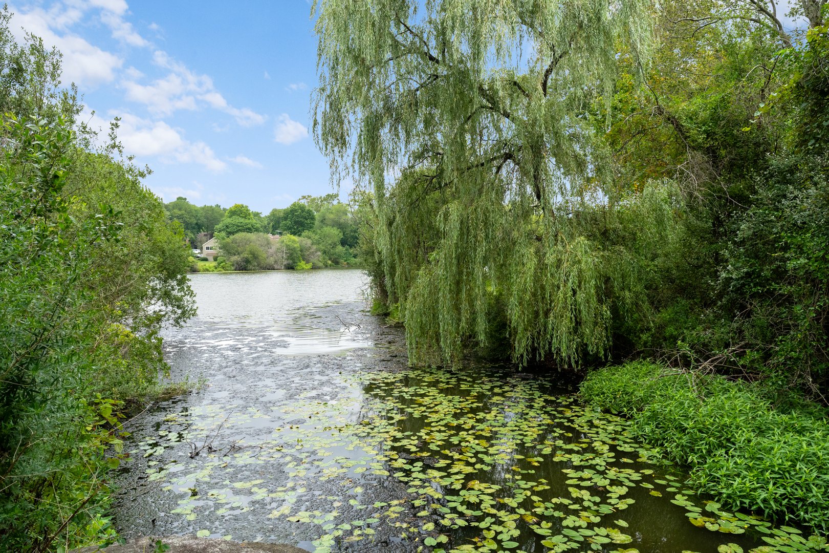 156 Stone Meadow Photo 17