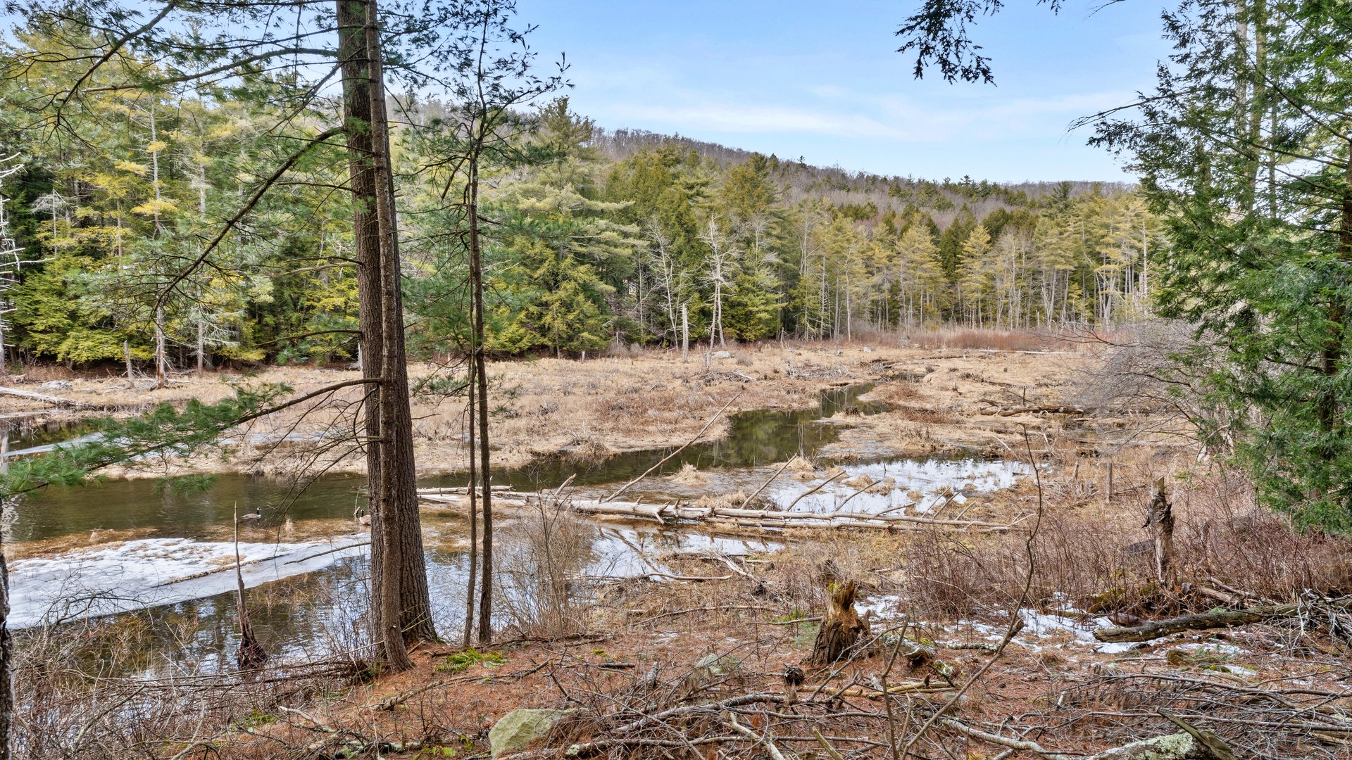 13191 Route 22 Stop #80 Photo 10