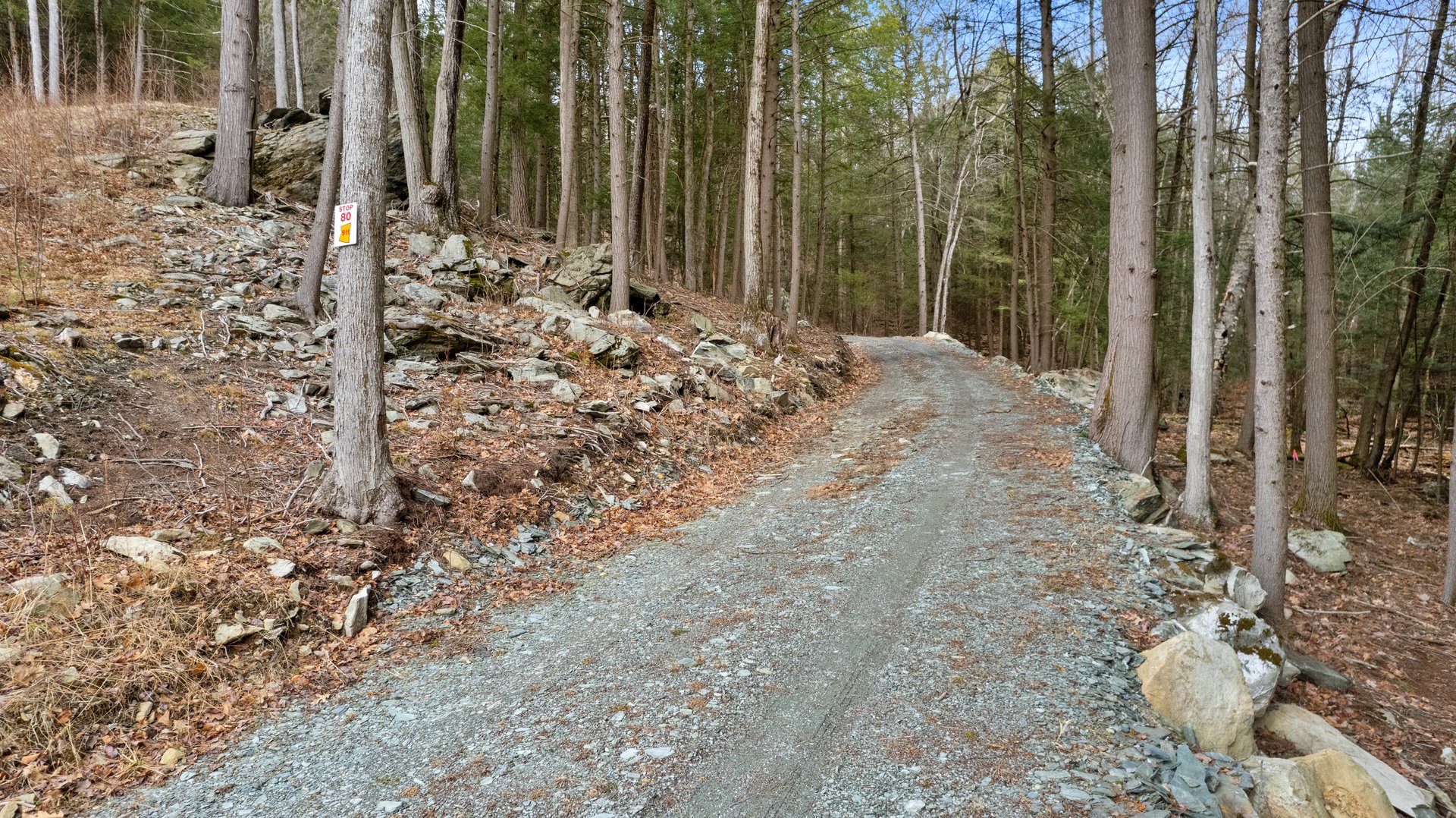 13191 Route 22 Stop #80 Photo 12