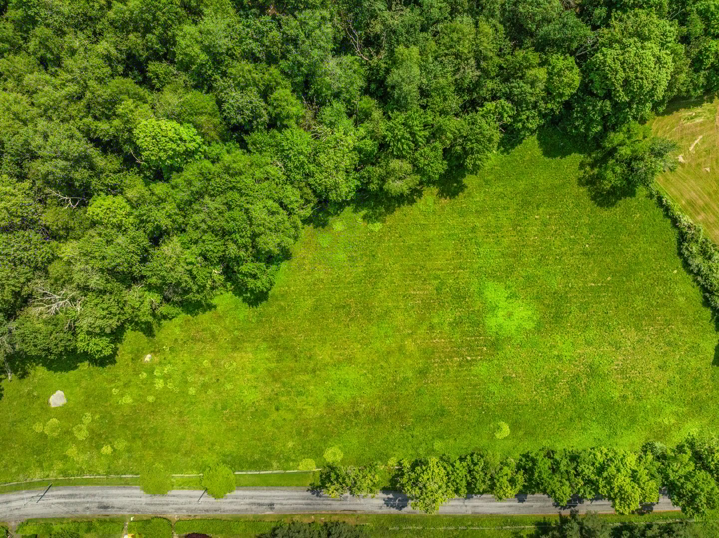 Curtiss Road Photo 13