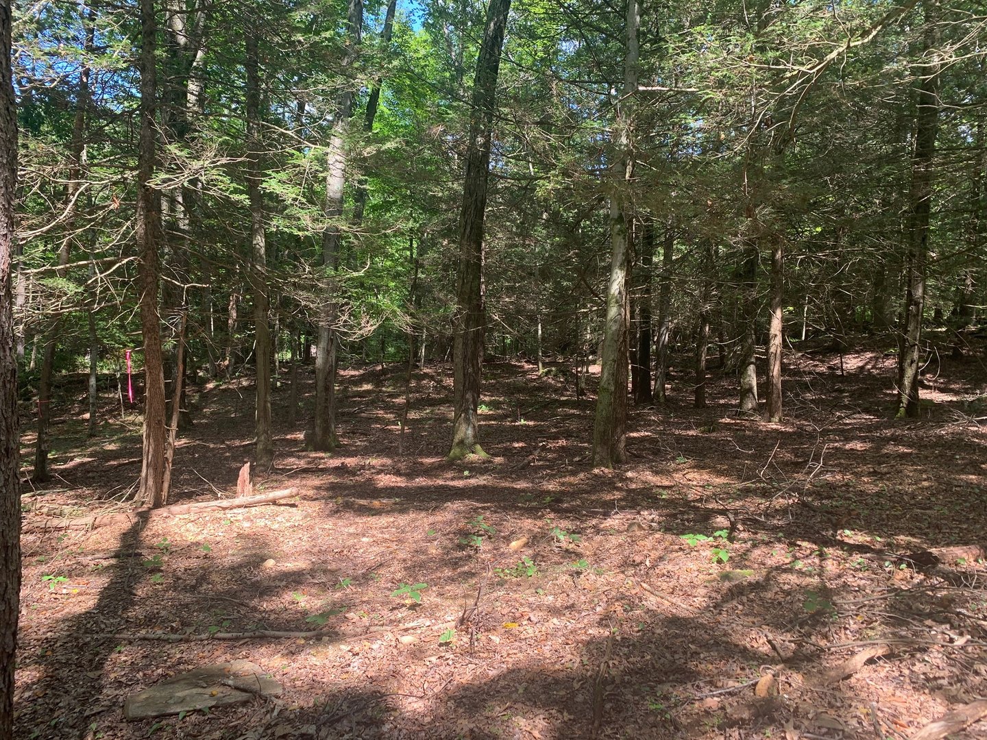 Lot 1 Chalybes Road West Photo 6