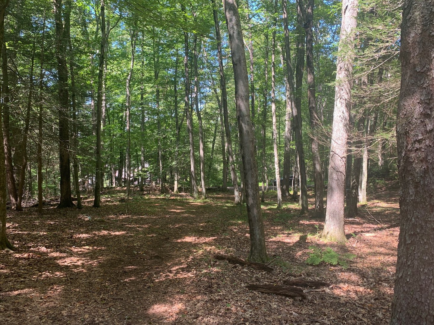 Lot 1 Chalybes Road West Photo 7