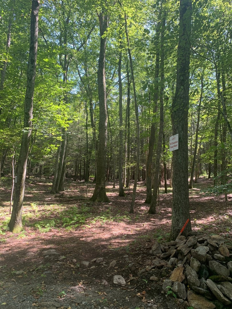 Lot 1 Chalybes Road West Photo 9