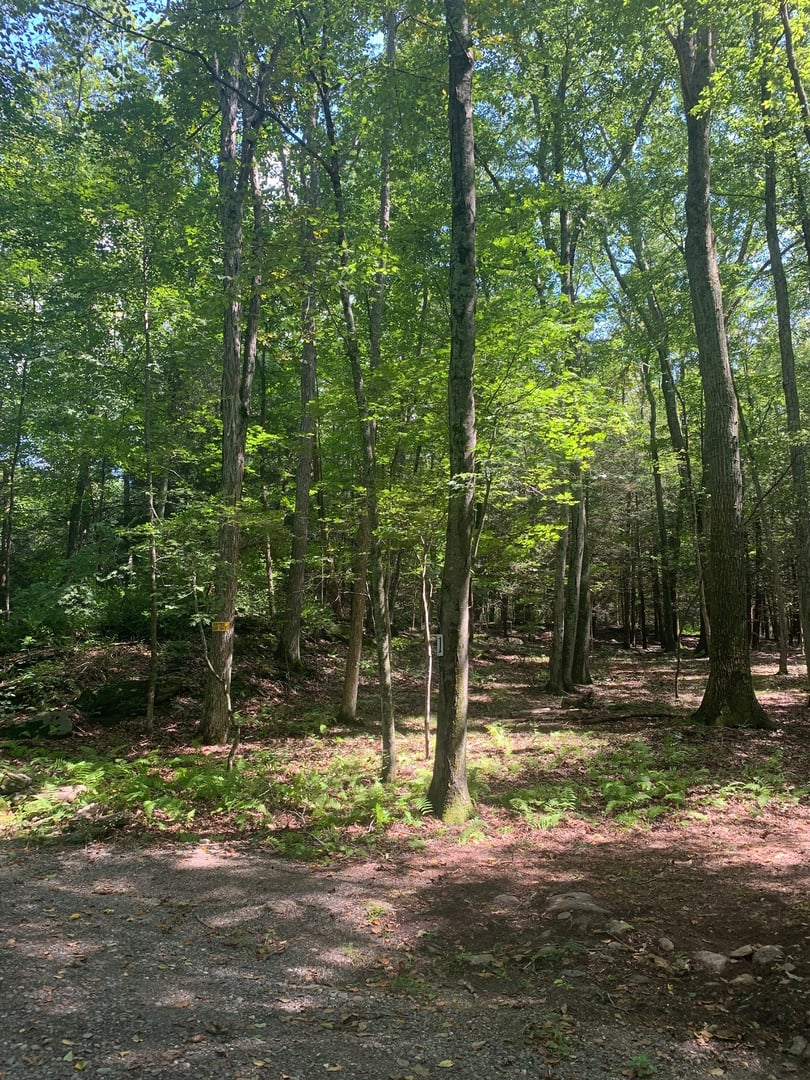 Lot 1 Chalybes Road West Photo 10