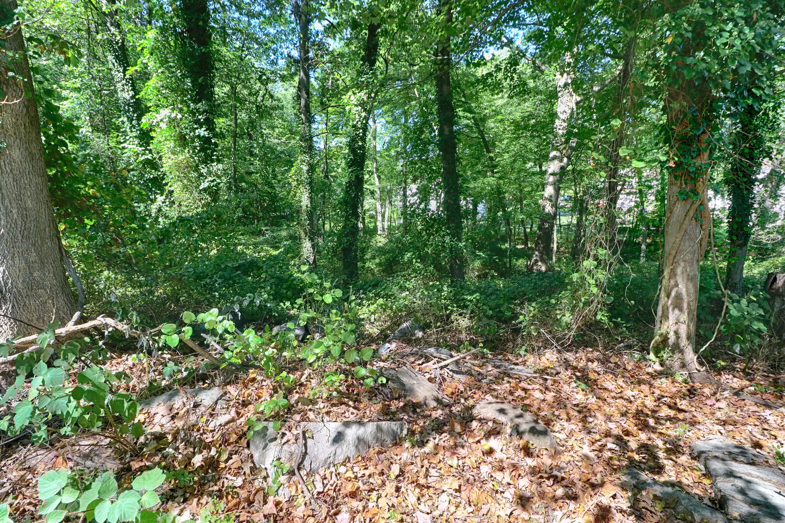 20 Ermine Street Photo 10