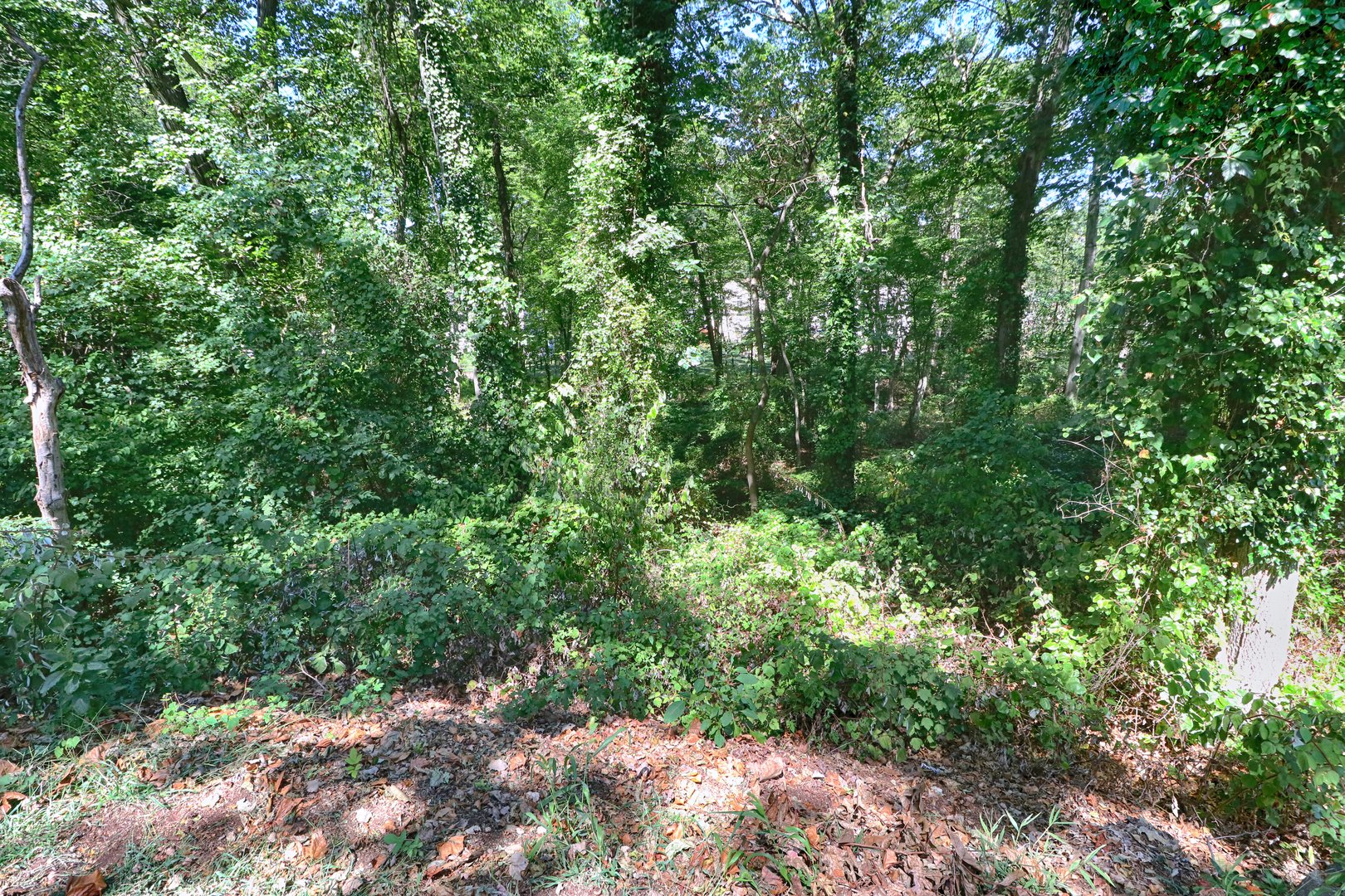 20 Ermine Street Photo 12